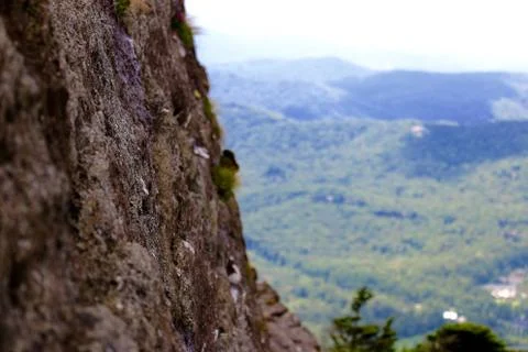 Mountain View Stock Photos