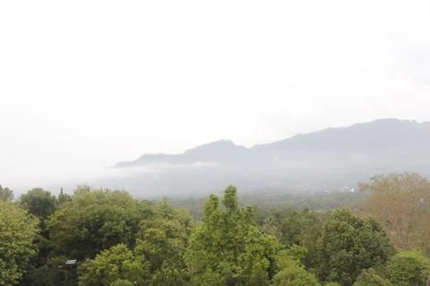 Mountain View Stock Photos