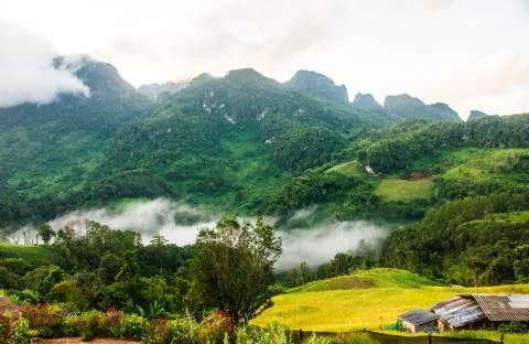 Mountain View Stock Photos