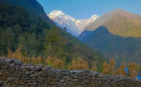 MOUNTAIN VIEW 写真素材