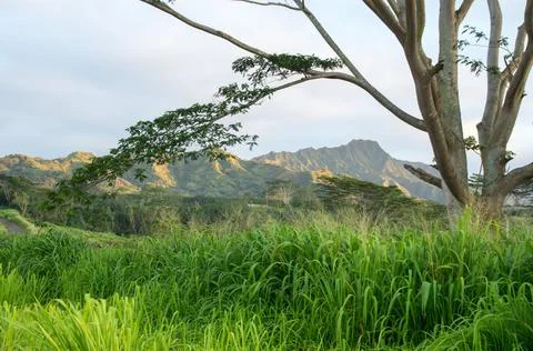 Mountain view Stock Photos