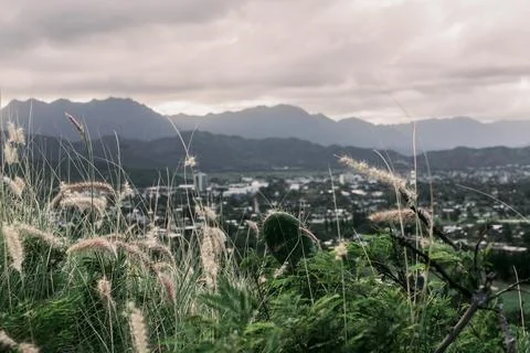 Mountain View Stock Photos