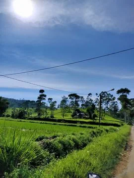 Mountain View Foto stock