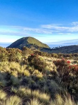 Mountain View Stock Photos