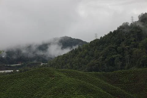 MOUNTAIN VIEW 스톡 사진