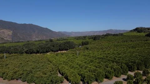 Mountain View Stock Photos