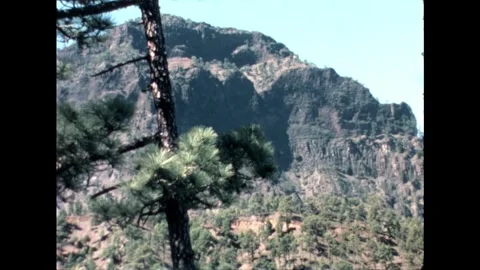 Mountain View with Pine Tree Video stock 278331920