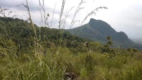 Mountain View from the Plains 動画素材 329460967