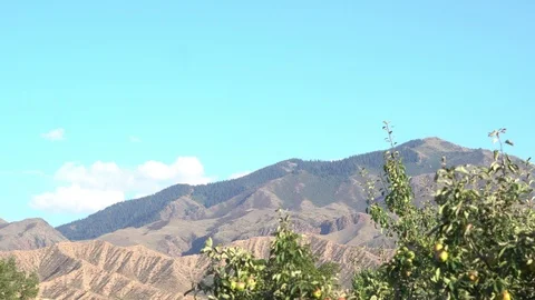 Mountain view from the porch Stock Footage 94858824