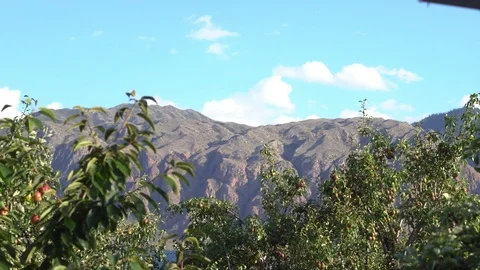 Mountain view from the porch Stock Footage 95579194