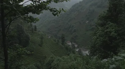 Mountain view Rize Stock Footage 48392569