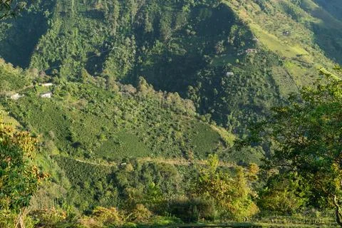 A mountain view with a road that is surrounded by trees Stock Photos