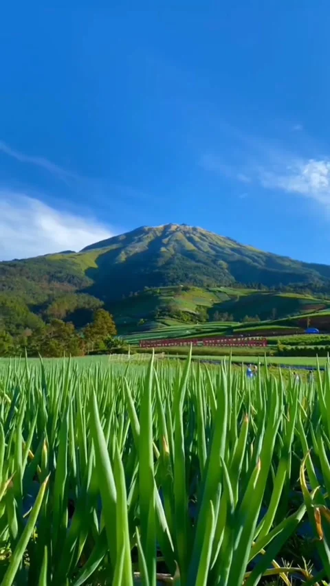 Mountain view in sukomakmur area Video stock 245776024