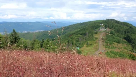 Mountain view in sunny weather Stock Footage 247374626