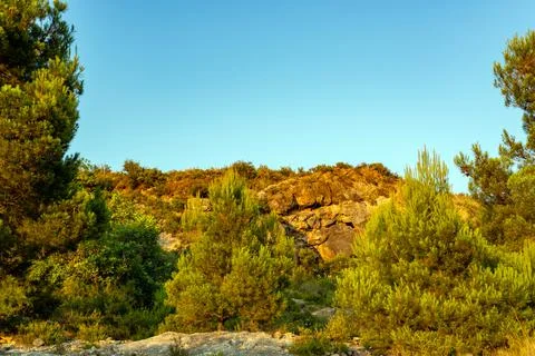 Mountain view surrounded by trees against a clear blue sky Stock Photos