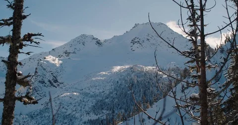 Mountain view though trees in Pacific Northwest Stock Footage 103334248