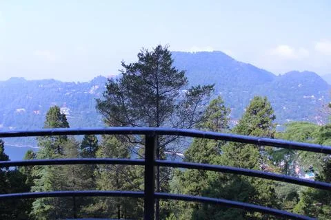 Mountain View Through Forest Trees Fotos de archivo