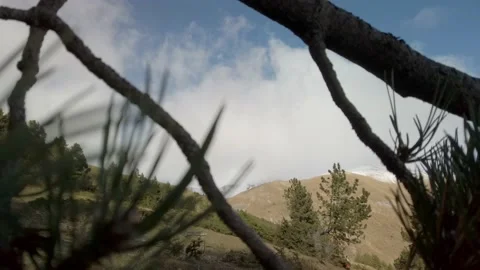 Mountain view through tree branches Stock Footage 180982264