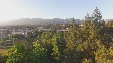 Mountain view through trees Stock Footage 91521221