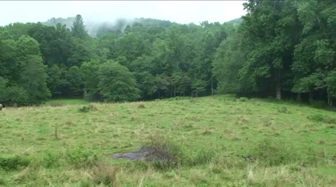 Mountain View Tracking Shot Stock Footage 29809937