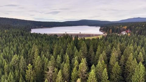 Mountain view tranquility, serene pine landscape with calm water reflection.. Photos