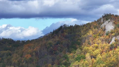 Mountain View With Trees and Clouds 스톡 동영상 265787788
