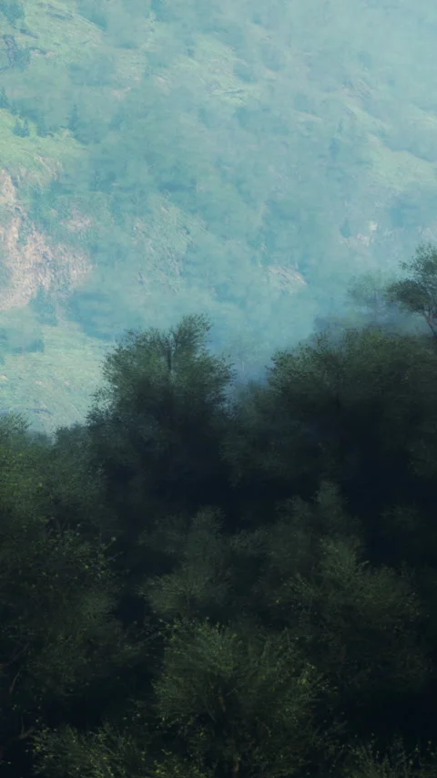 Mountain view with trees and mist in morning light during spring season Stock Footage 338354936