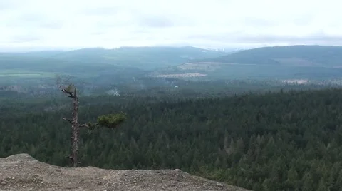 Mountain View Van.Island (1).m2ts Stock Footage 3467919