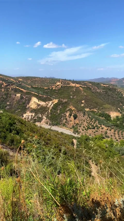 Mountain View. Vertical video Stock-Footage 286743023