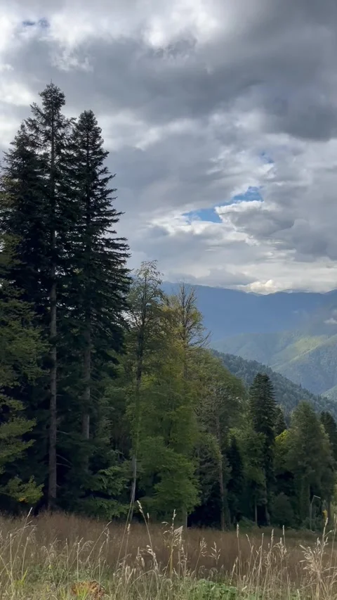 Mountain view on a walk Stock Footage 296797945