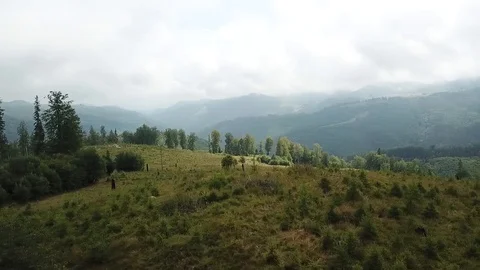 Mountain Views Stockbeeldmateriaal 95272643