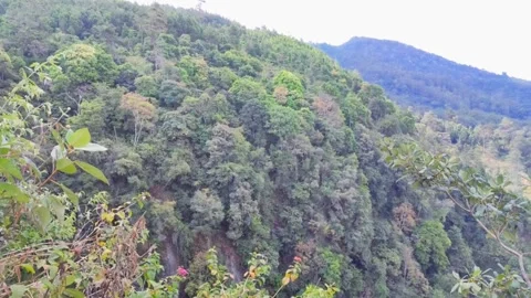 Mountain views Stock Footage 251344464