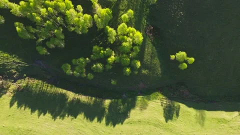 Mountain views with green hills, during spring. Aerial view of Dumesti village f Stock Footage 155007271
