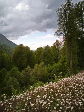 Mountain views Stock Photos