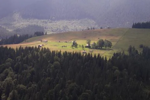 Mountain views to the pine forest and the farm.  landscape 스톡 사진