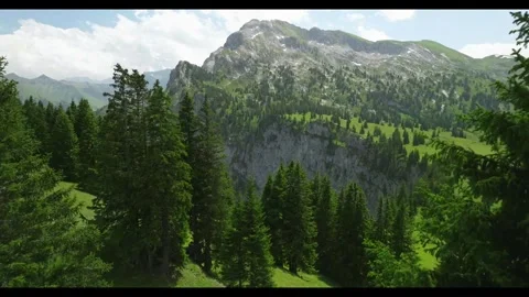 Mountain views showcase lush greenery and rocky cliffs in daylight 動画素材 320304532