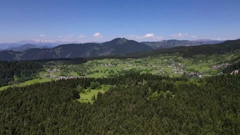 Mountain Village Among Pine Forests Stock-Footage 335067189