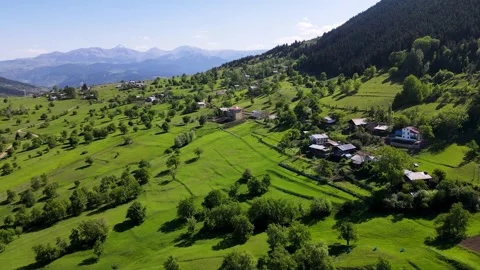 Mountain Village Between Alpine Meadows and Pine Forests Видео 335029750