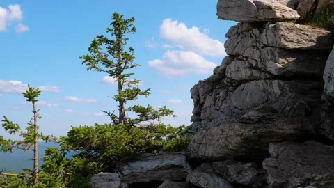 Mountain Vista with Pine Trees and Rocks on Sunny Day Stock Footage 325379034