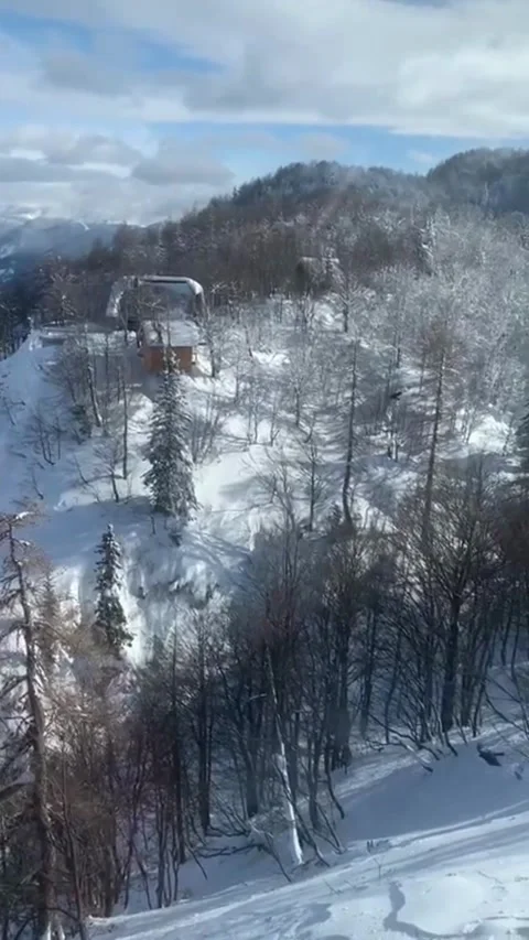 Mountain Vogel Vídeos de archivo 273992253