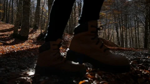 Mountain walk Video stock 112866811