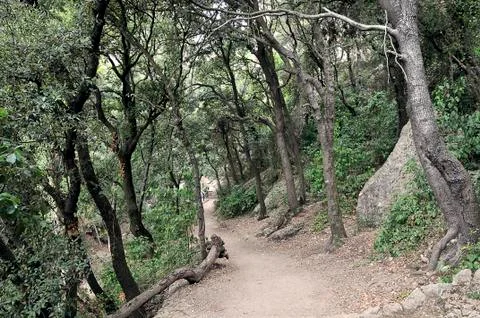 Mountain walk 写真素材