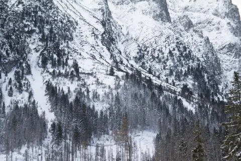 Mountain wall in winter Stock Photos