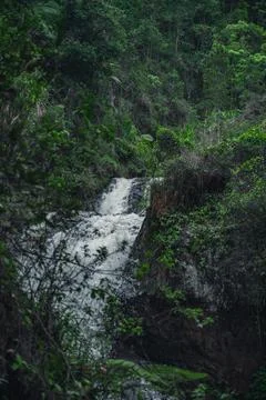 Mountain water cascade waterfall inside of exotic tropical timberland Stock Photos