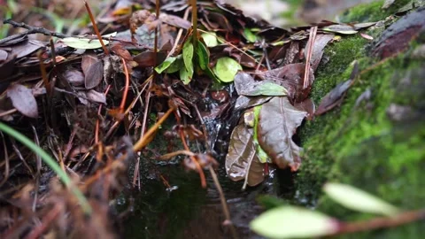 Mountain water flow Stock-Footage 233372104
