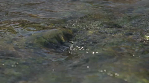 Mountain water. Flow of the river. Video stock 48296150