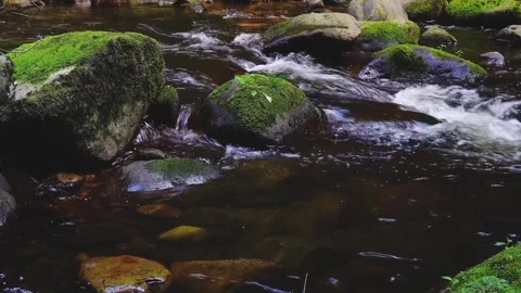 Mountain water flowing Stock Footage 217934009