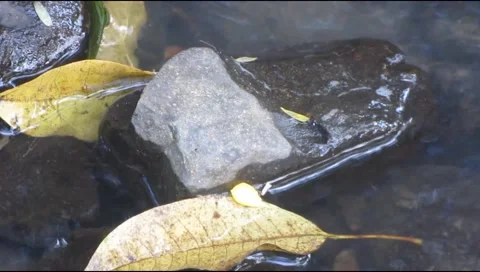 Mountain water flows between the rocks Stock Footage 225048965
