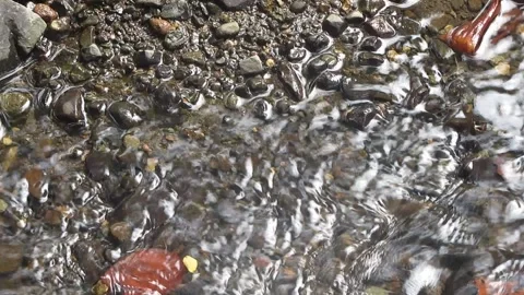 Mountain water flows between the rocks Stock Footage 225148795