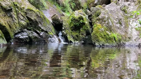 Mountain water. Stock Footage 205000904